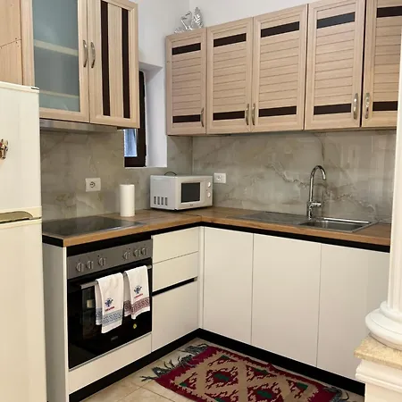 Apartment Comfort 2br With Lush Living Tirana